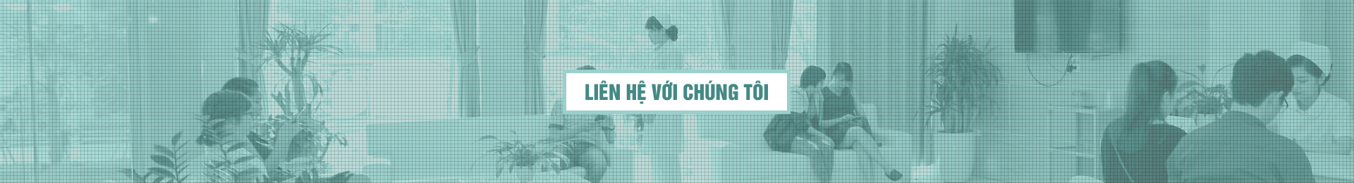 Liên hệ