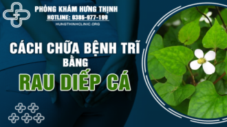 Mách bạn cách chữa bệnh trĩ bằng rau diếp cá an toàn